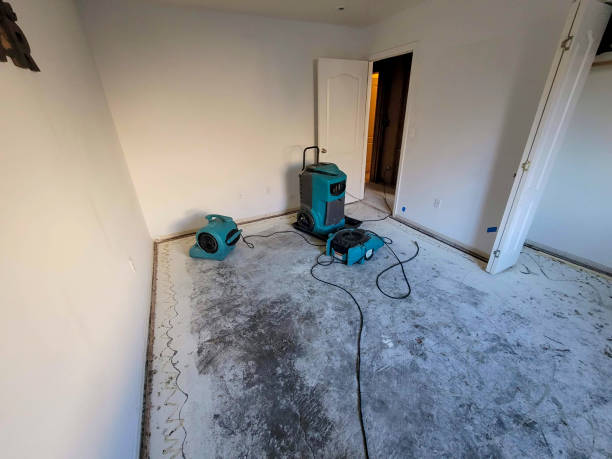 Best Sewage cleanup and water damage restoration  in Enlow, PA