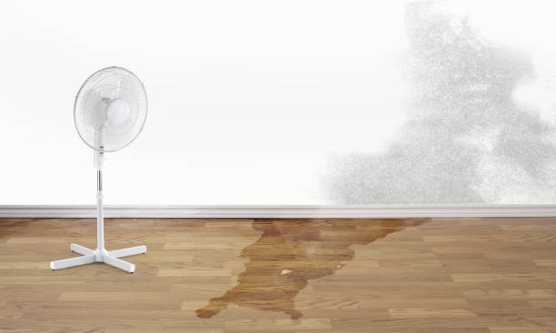 Best Flood damage cleanup  in Enlow, PA