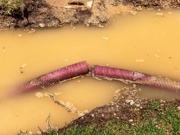 Best 24-hour water damage restoration  in Enlow, PA